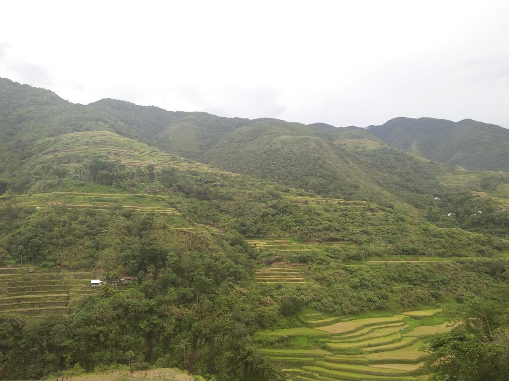 Banaue Sunrise Guest House Экстерьер фото